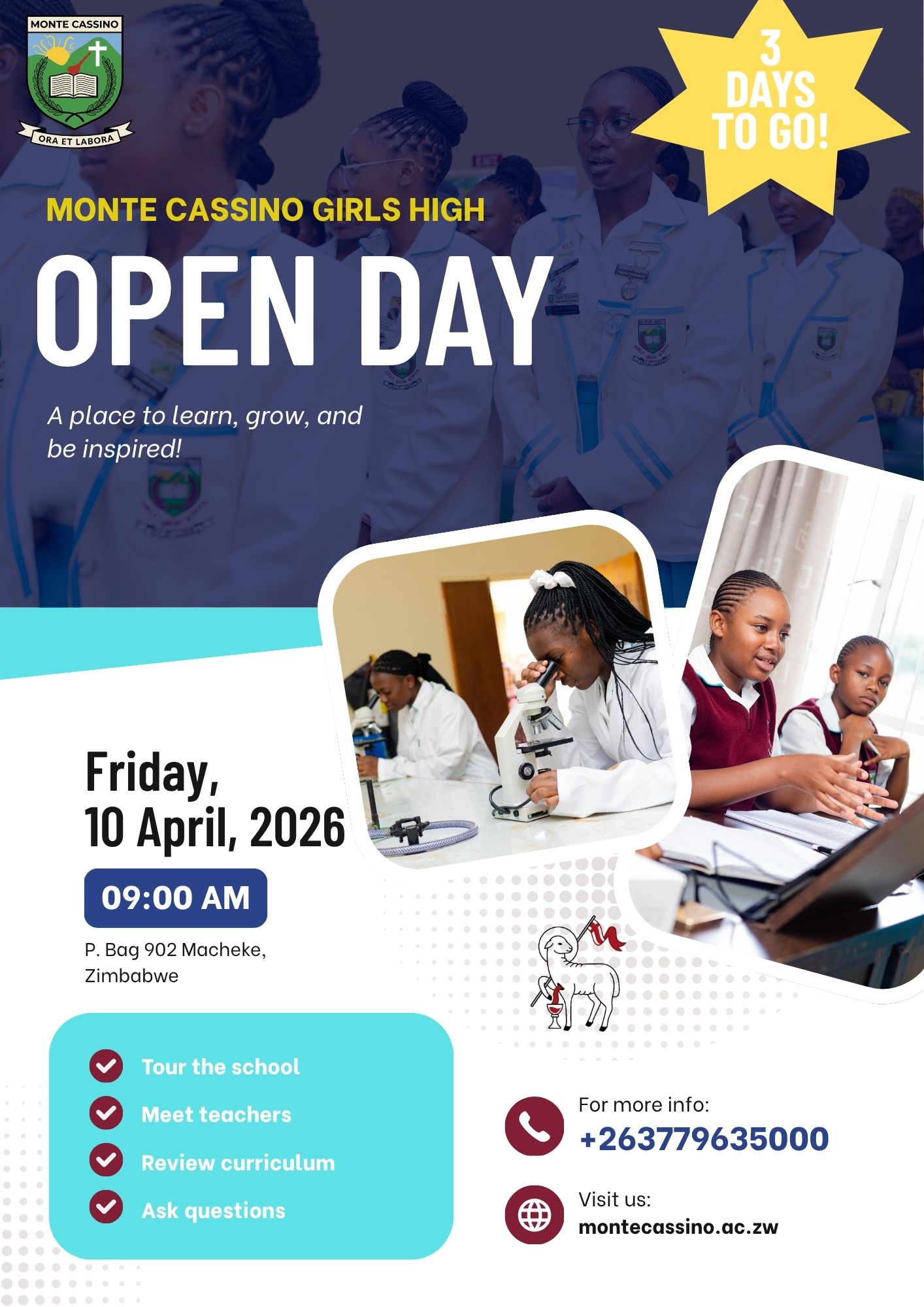 Open Day Highlights