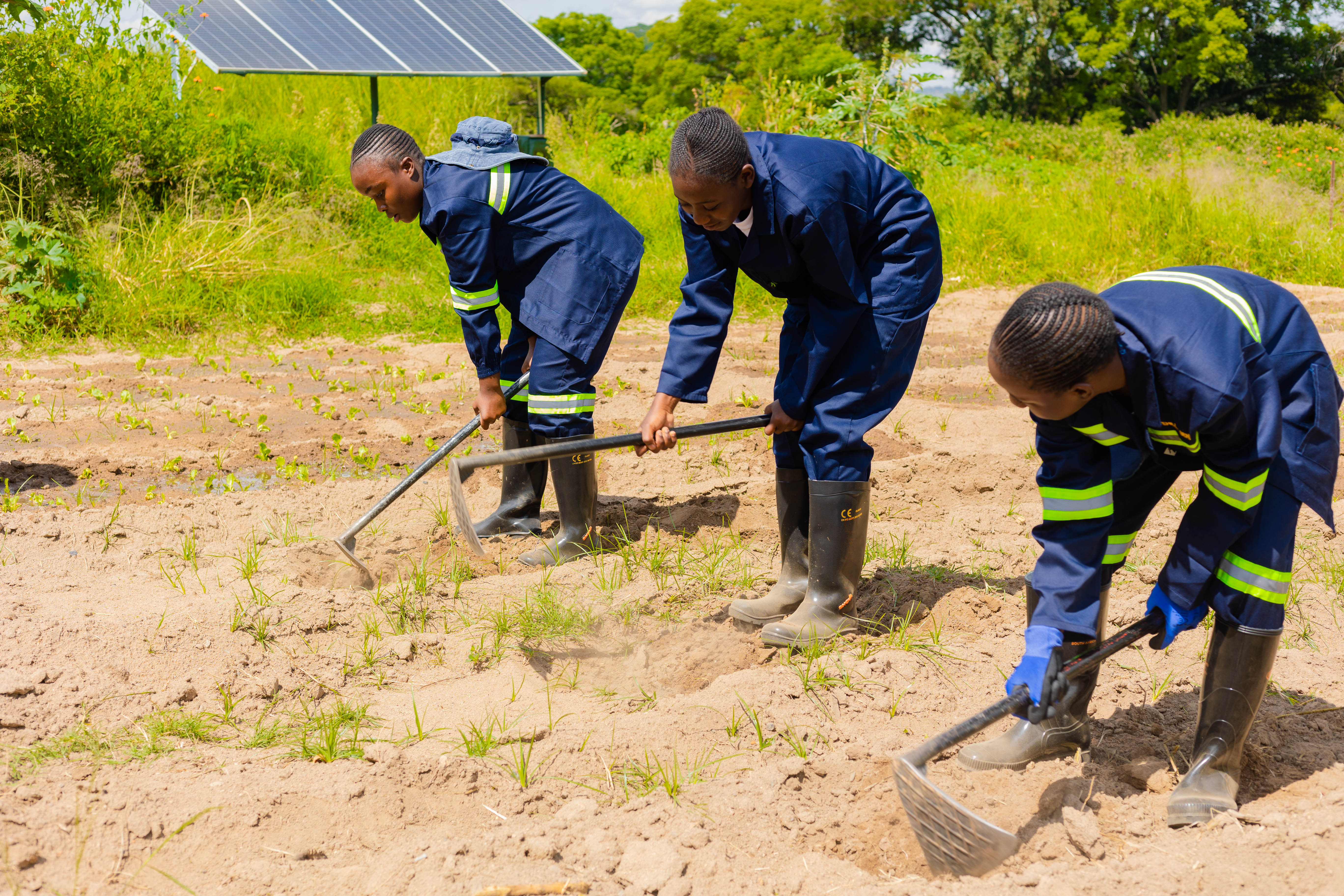 Students during agriculture practical work
