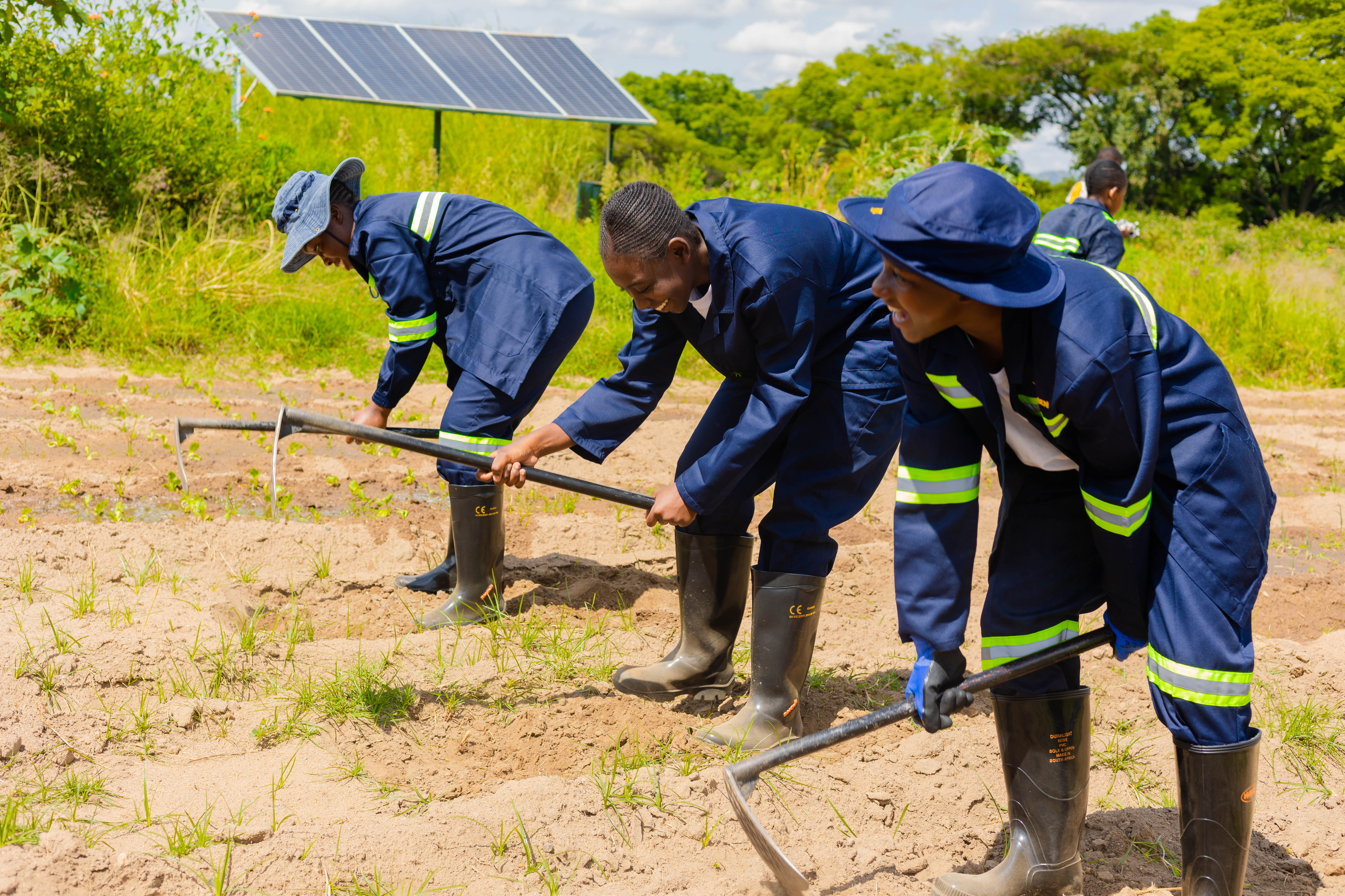 Agriculture students watering crops